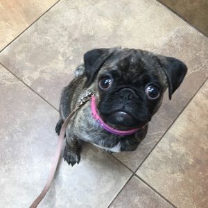 Meet your Posher, Janice